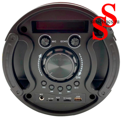 КОЛОНКА ZQS 6201